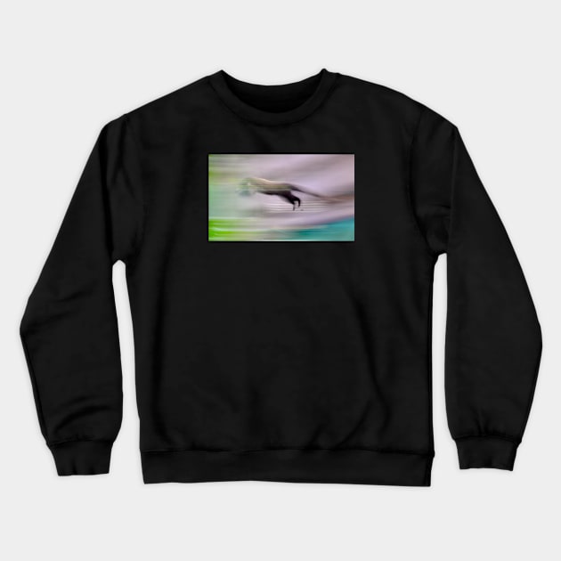 Coati / Swiss Artwork Photography Crewneck Sweatshirt by RaphaelWolf